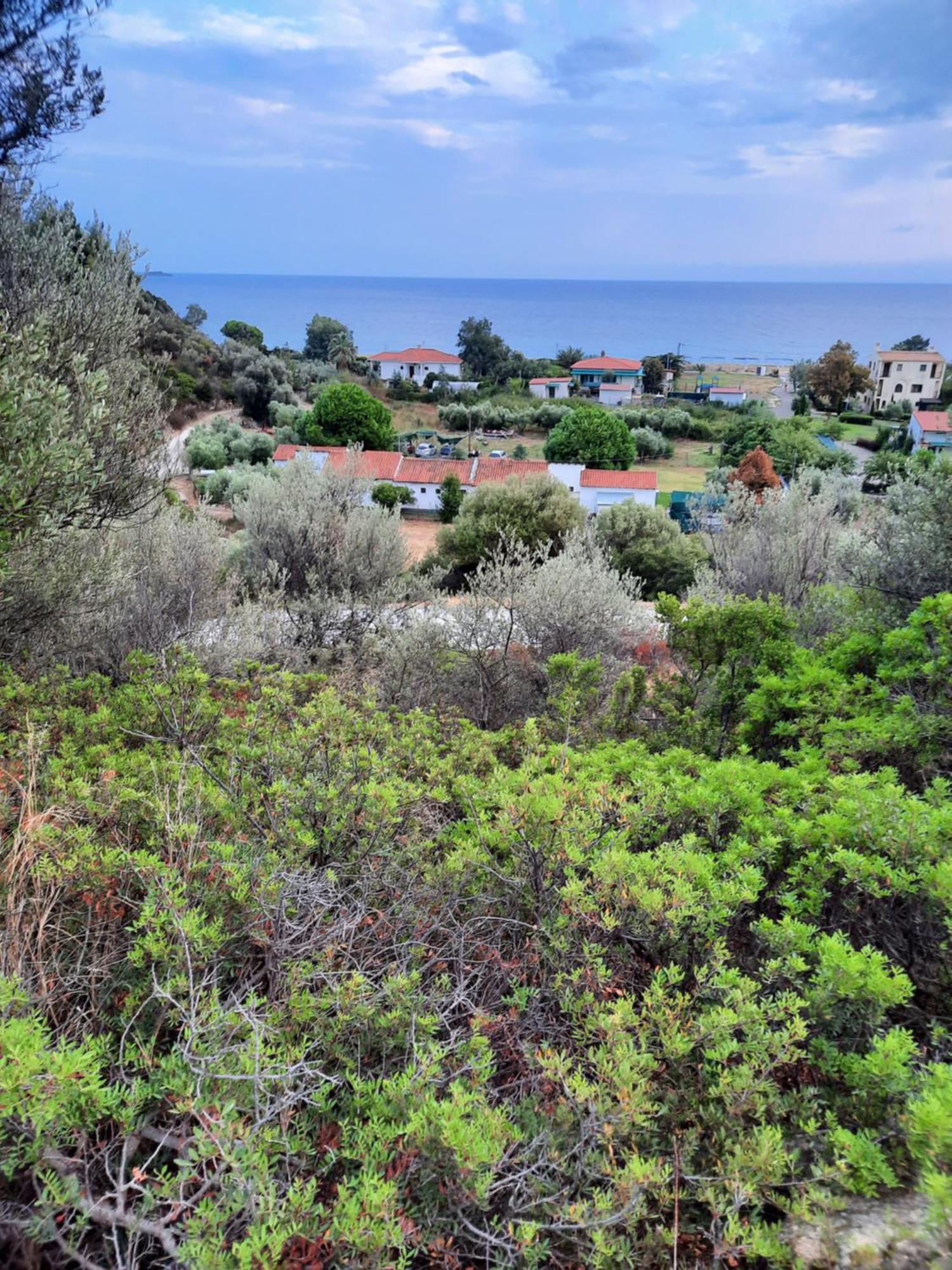 Bungalows Anestis Toroni Exteriér fotografie